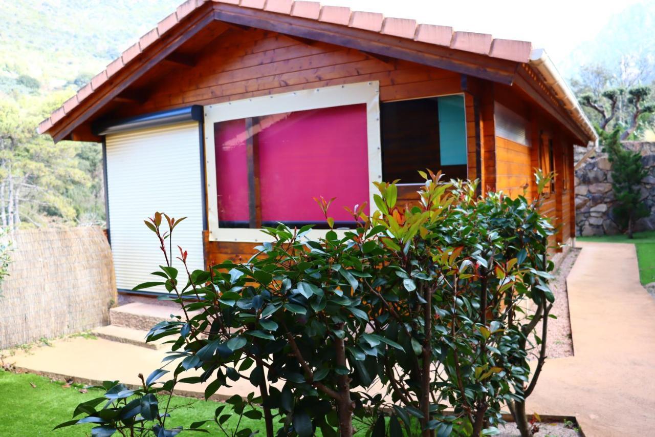 Villa Casa Del Torrente Porto  Exterior foto