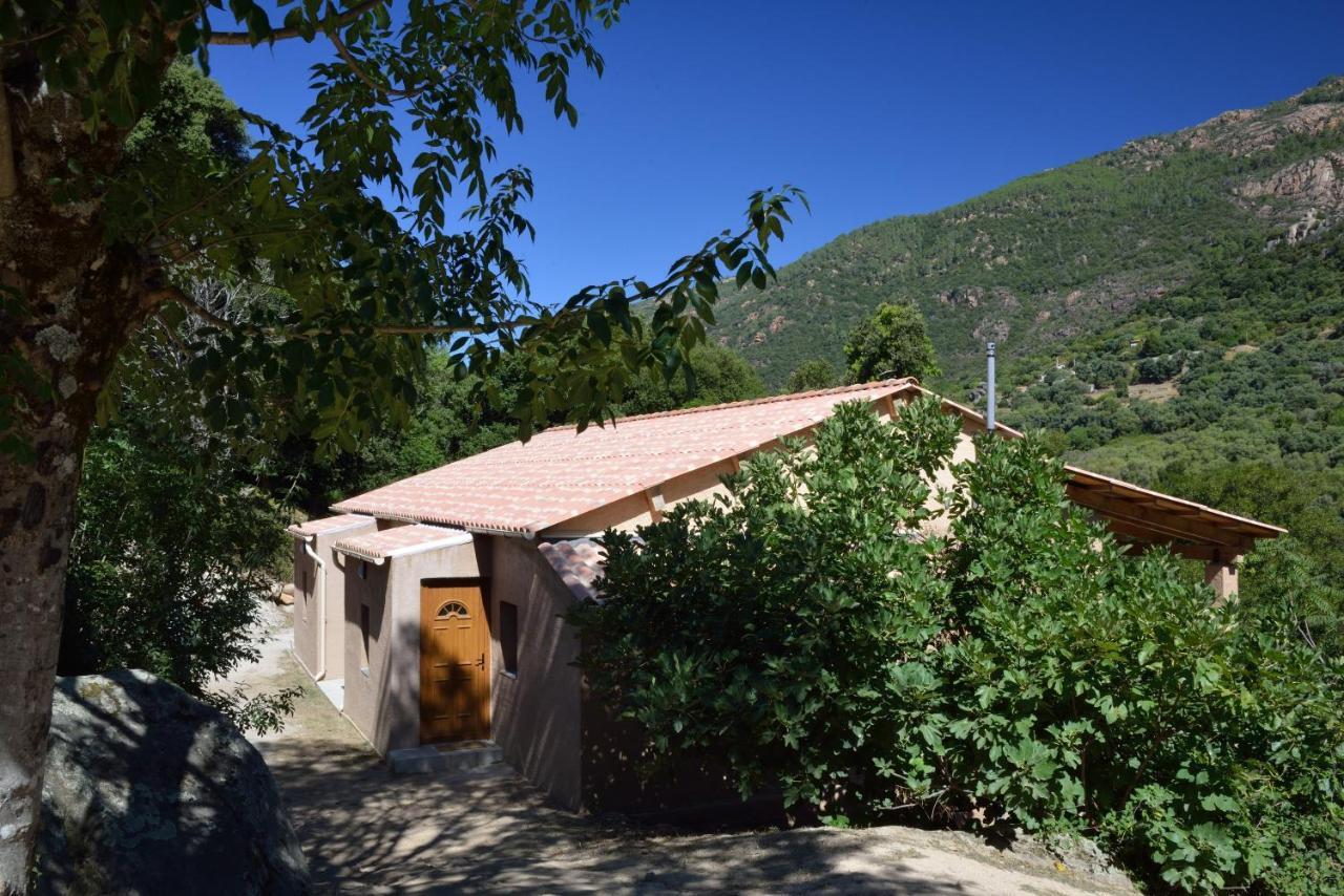 Villa Casa Del Torrente Porto  Zimmer foto